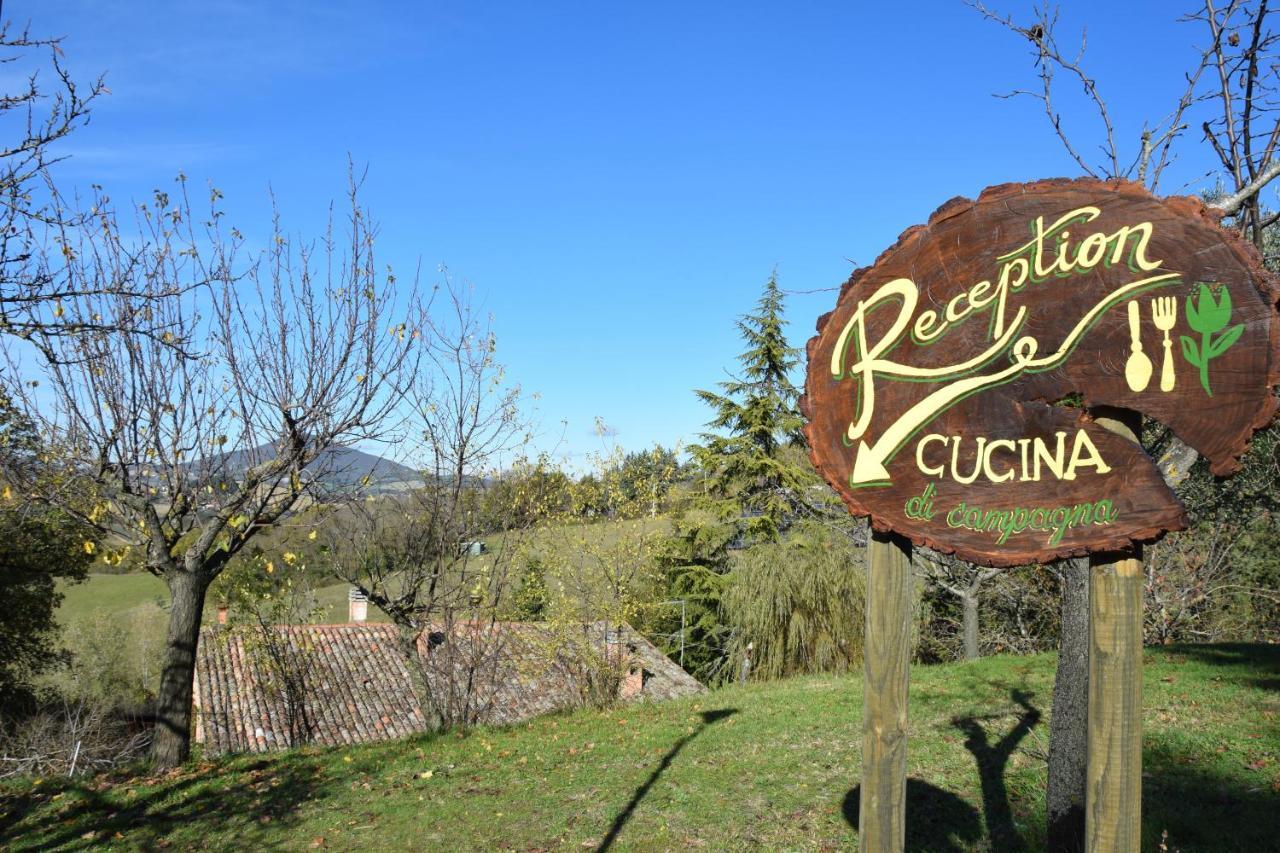 Gioie Di Campagna *